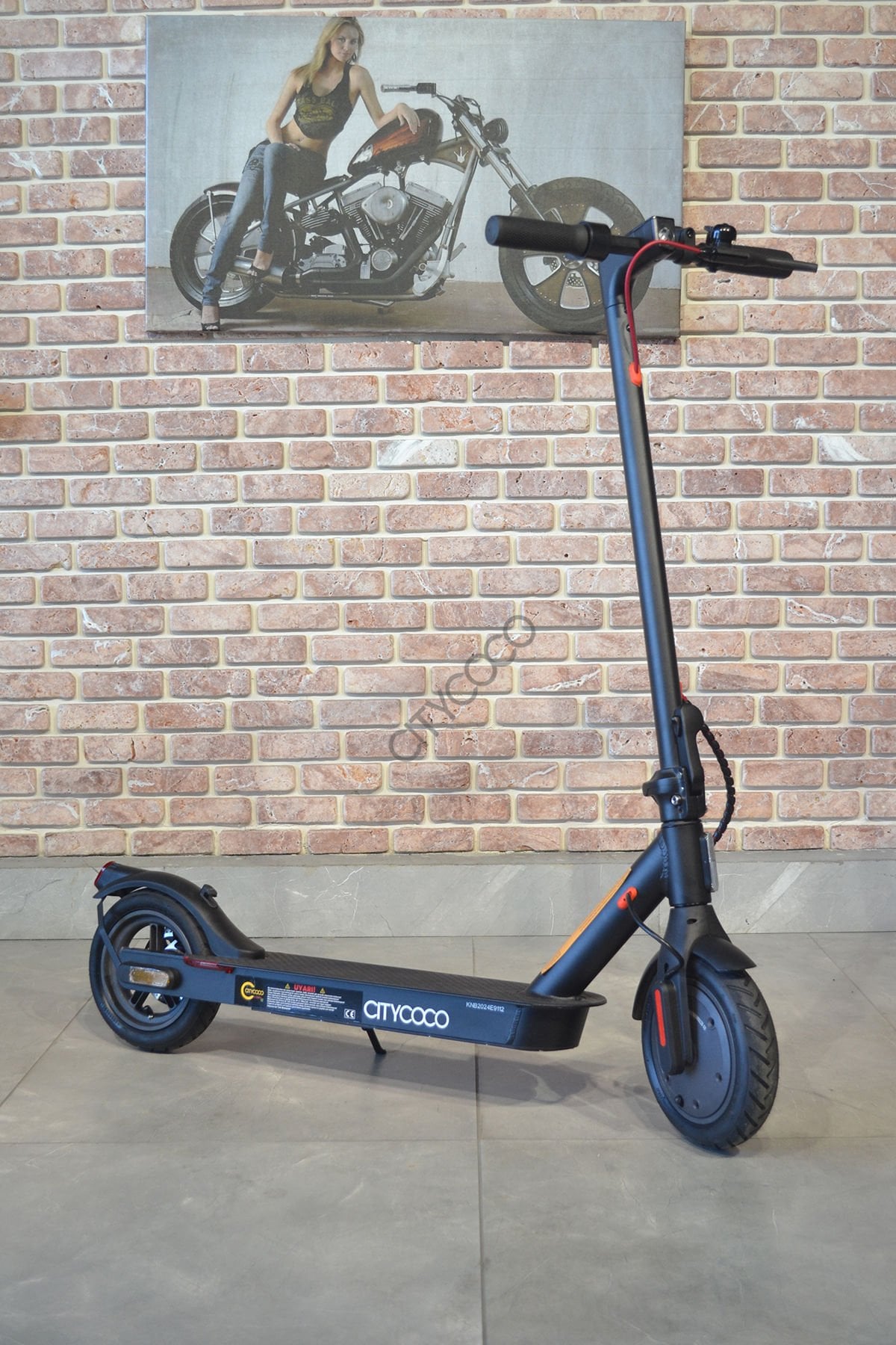 Citycoco Mx350 E9