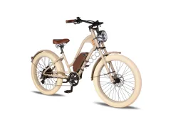 Citycoco Vintage Vacay 500 Watt 48V 14Ah