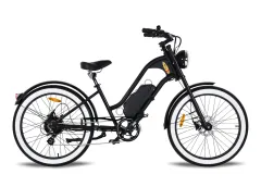 Citycoco Vintage Vacay (Orta Motor) 500 Watt 48V 17,5Ah