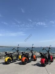 Citycoco Family V3 '' 2000 Watt Motor ''