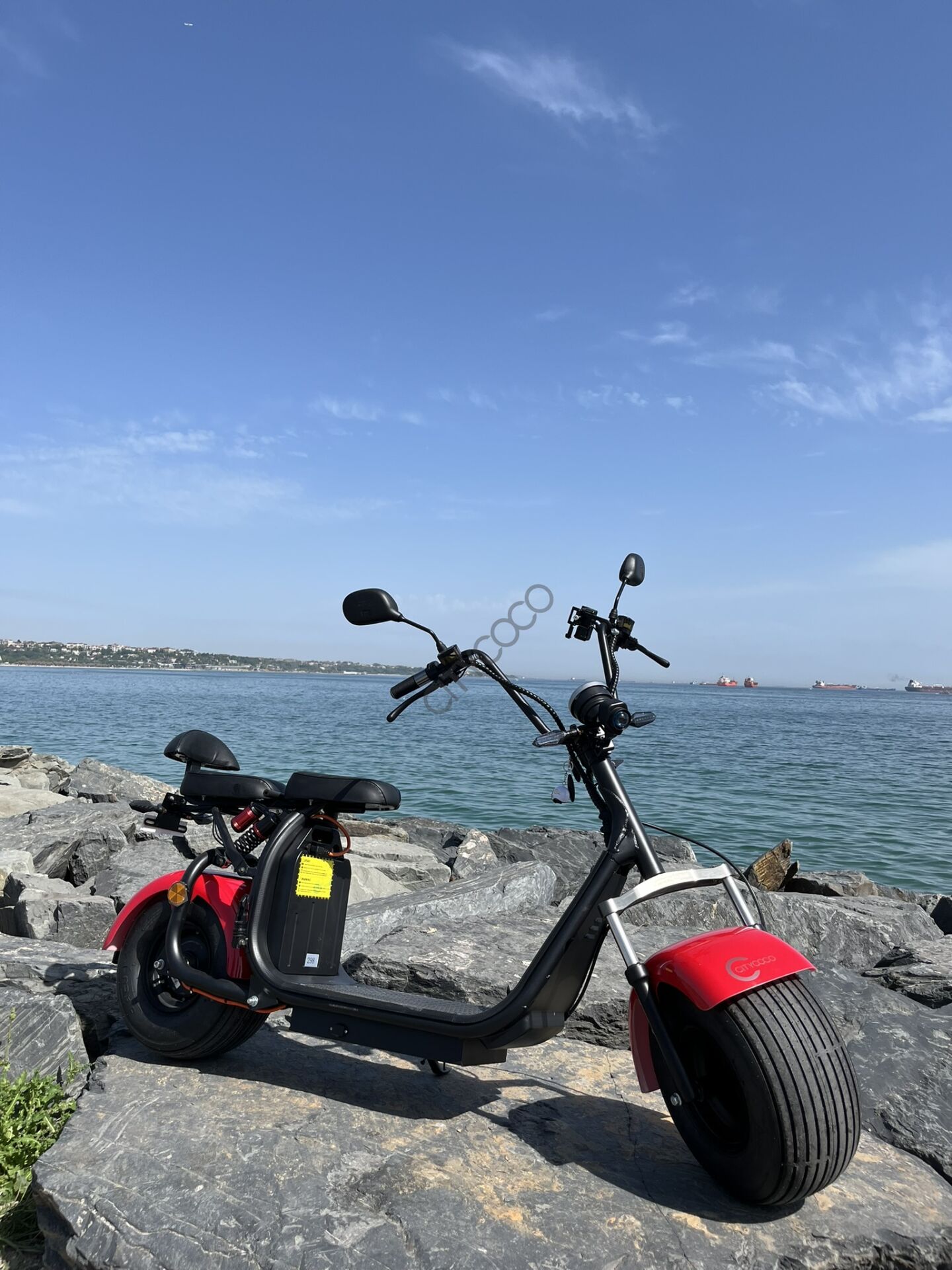 Citycoco Family V3 '' 2000 Watt Motor ''