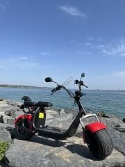 Citycoco Family V3 '' 2000 Watt Motor ''