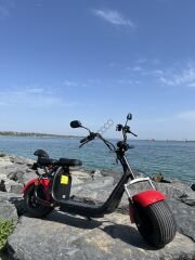 Citycoco Family V3 '' 2000 Watt Motor ''