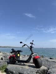 Citycoco Family V3 '' 2000 Watt Motor ''