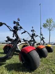 Citycoco Family V3 '' 2000 Watt Motor ''