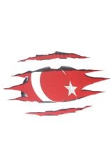 STİCKER-LARGE