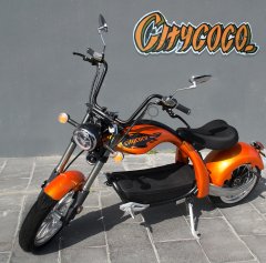 Citycoco QR-X5