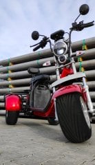 Citycoco Trike CP-3