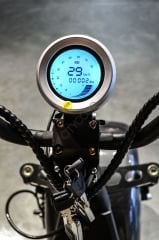 Citycoco V2 Family - LT018