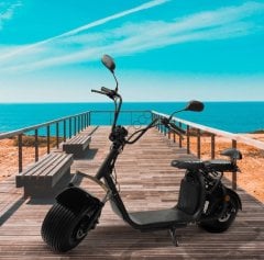 Citycoco V2 Family - LT018