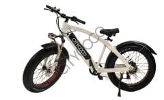 Citycoco FatBike