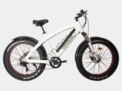 Citycoco FatBike