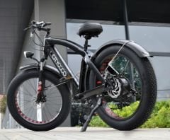 Citycoco FatBike