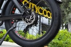 Citycoco FatBike