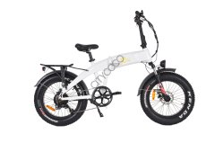 Fatbike Mini